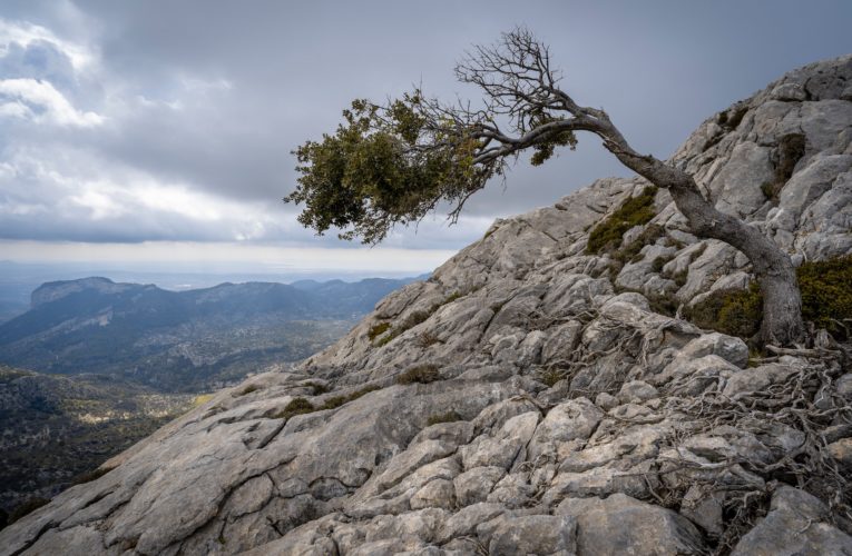 Justin: The Importance of Resilience in Overcoming Trauma